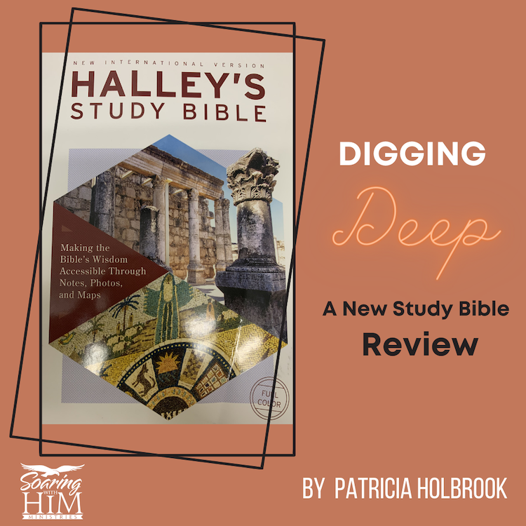 Digging Deep – A New Study Bible Review