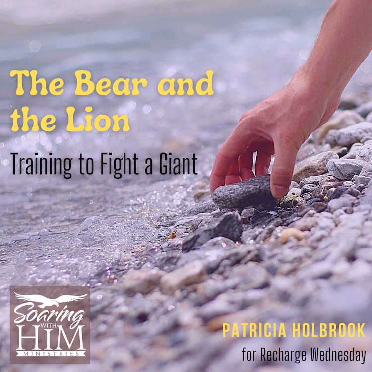 The Bear and the Lion – Training to Face a Giant {Recharge Wednesday}