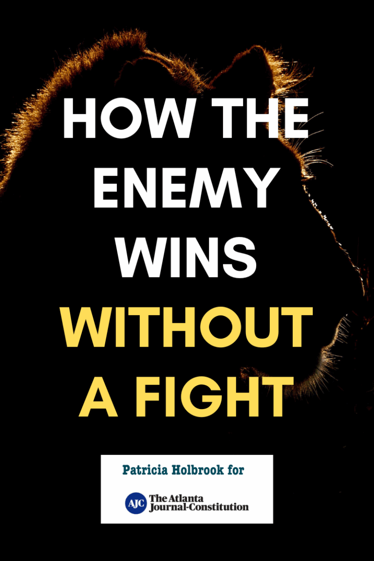 How the Enemy Wins Without a Fight
